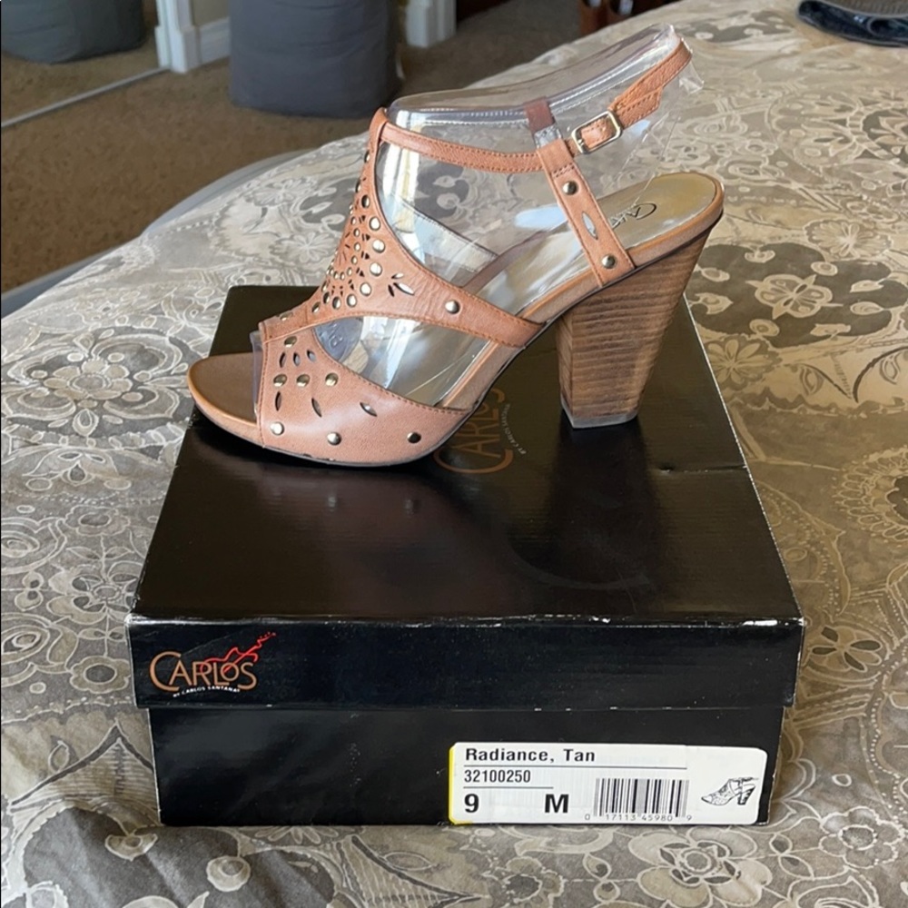 Carlos Santana Radiance